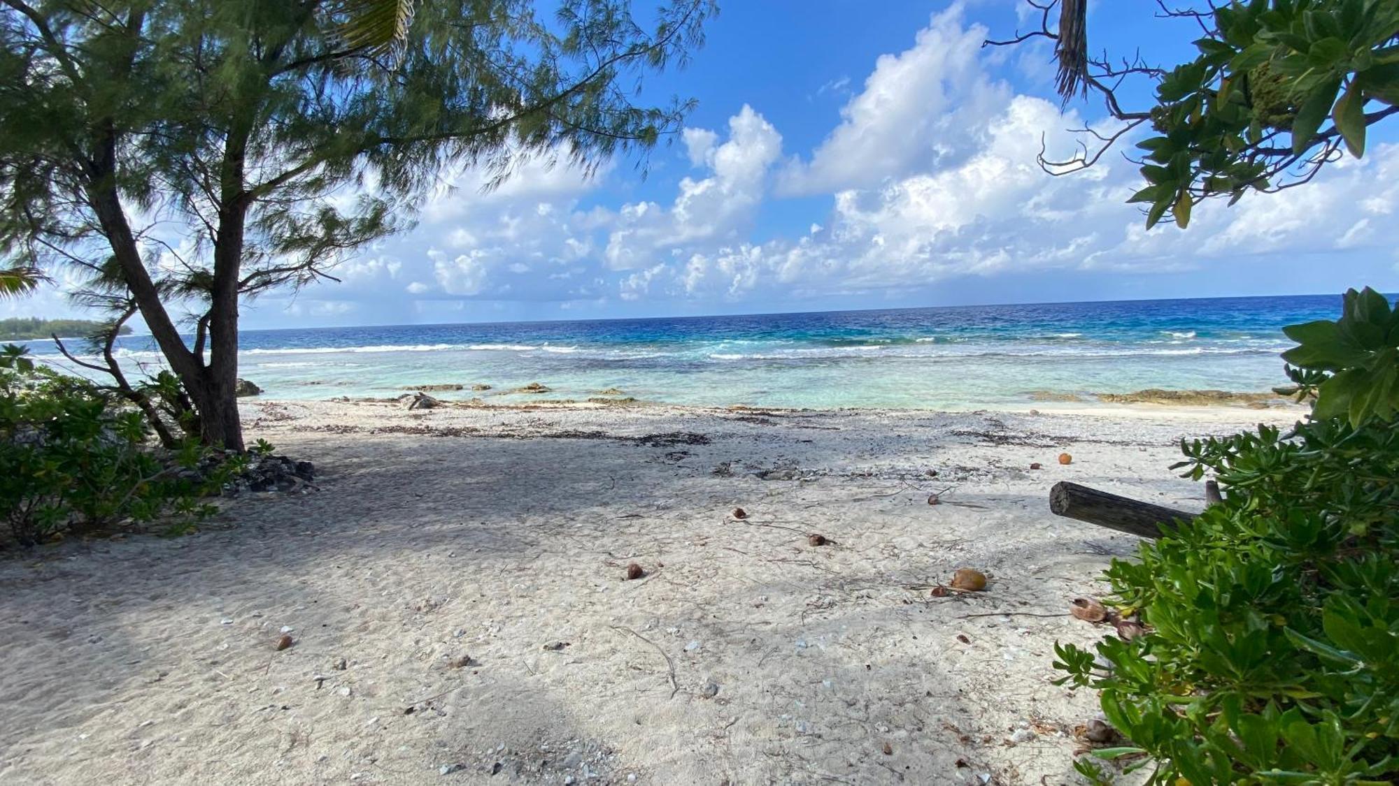 Moorea Chill And Beach Lodge Teavaro Dış mekan fotoğraf
