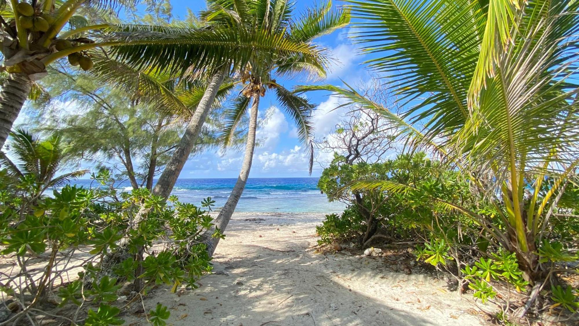 Moorea Chill And Beach Lodge Teavaro Dış mekan fotoğraf